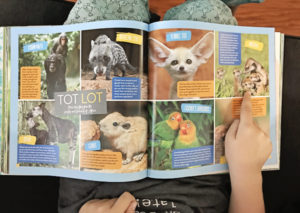 National Geographic Hey Baby Books For Kids