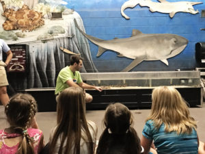 SeaWorld Educational Sleepovers - Go behind the scenes and spend the night at SeaWorld in Orlando, Florida