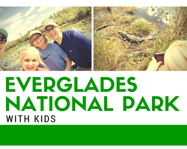 Visiting Everglades National Park in Florida with Kids.