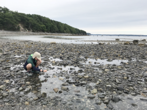 Low Tide at Bar Harbor Island Acadia National Park