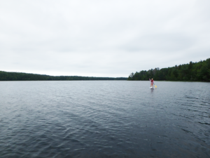 Acadia SUP - Paddle Boarding with Kids in Acadia National Park, Bar Harbor, Maine