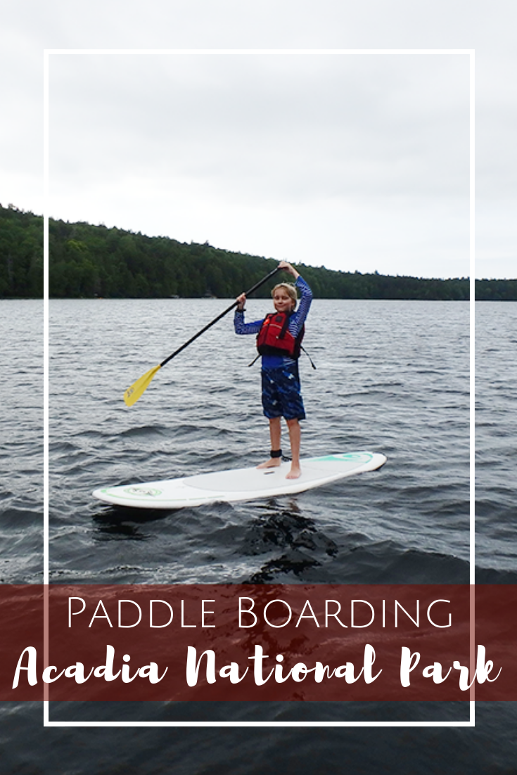 acadia sup - paddle boarding with kids in acadia national park