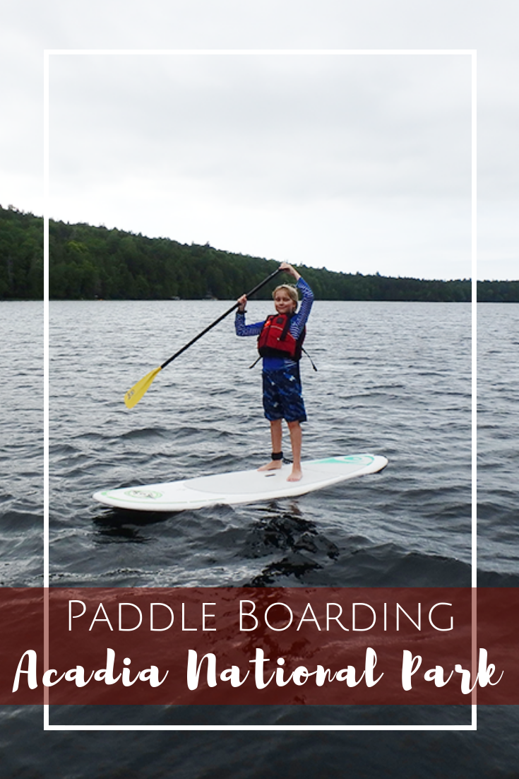 Acadia SUP - Paddle Boarding with Kids in Acadia National Park, Bar Harbor, Maine