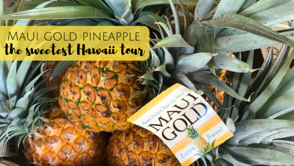 Maui Gold Pineapple Tours in Maui, Hawaii. The only pineapple farm tour in the US.