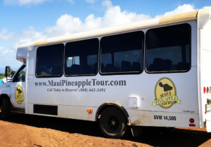 Maui Gold Pineapple Tours in Maui, Hawaii. The only pineapple farm tour in the US.