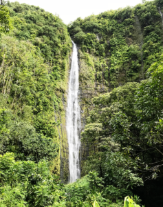 Driving the Road to Hana in Maui. Take the back way, the Piilani Highway.