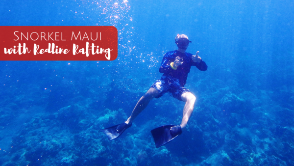 Snorkel Maui with Redline Rafting Tours