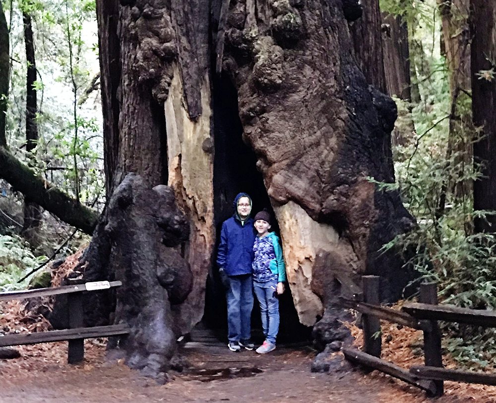 Muir Woods National Monument San Francisco California with Kids