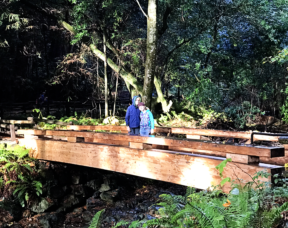 Muir Woods National Monument San Francisco California with Kids