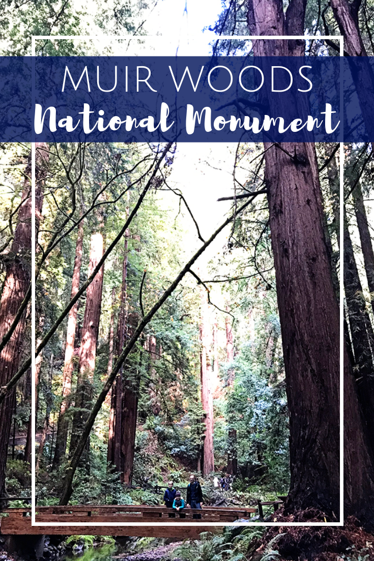 Muir Woods National Monument San Francisco California with Kids