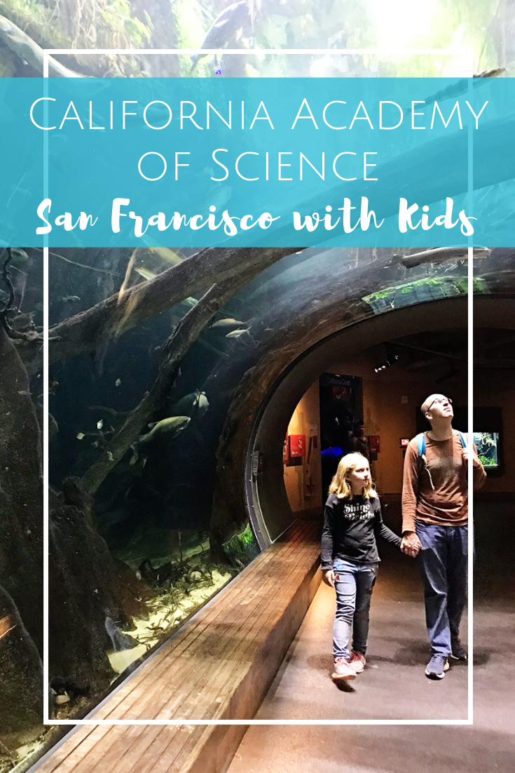 Visiting the California Academy of Science in San Francisco, California with Kids
