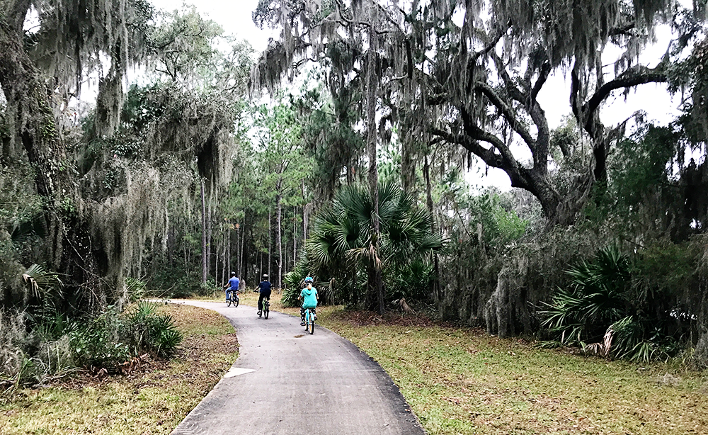 Finding Hidden Island Treasures on Jekyll Island, Georgia in January & February.