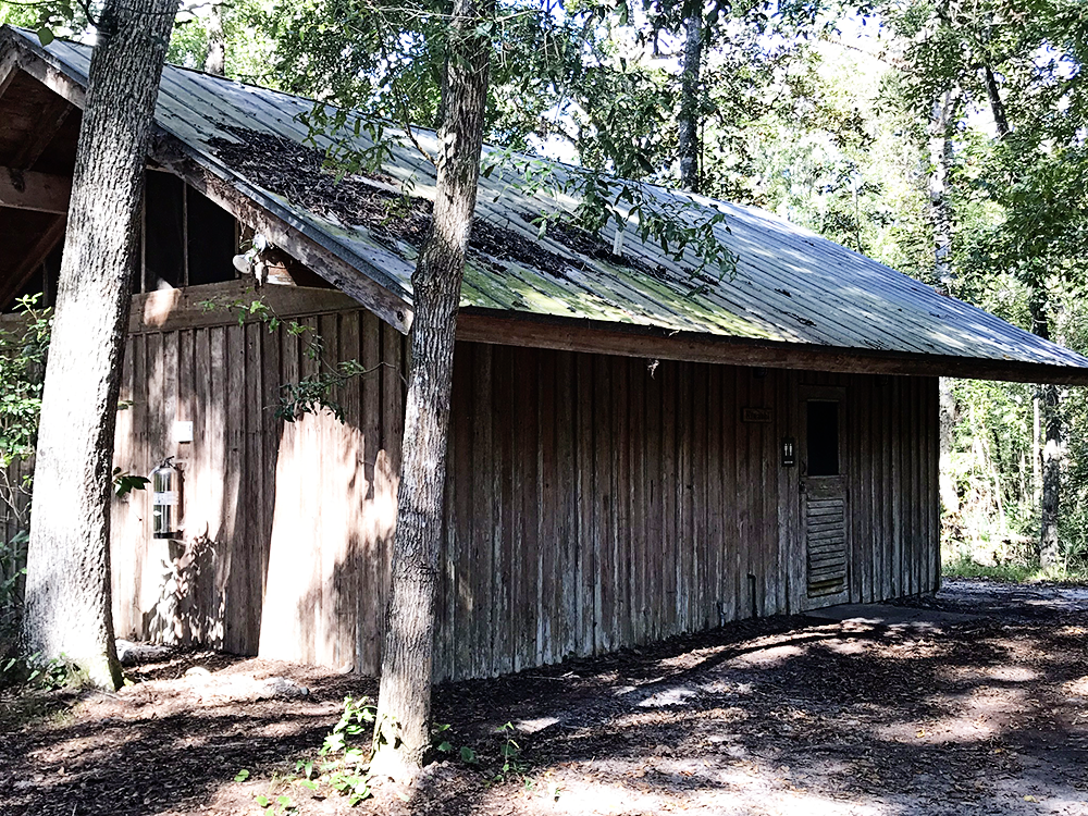 Camp Chowenwaw Park: Treehouse Camping in Jacksonville, Florida