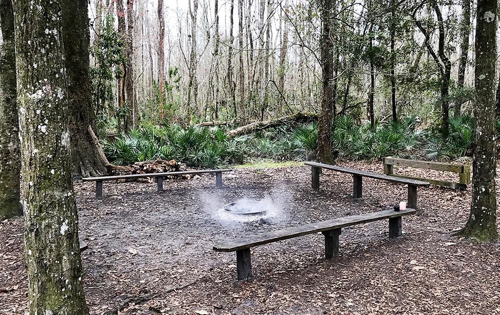 Camp Chowenwaw Park: Treehouse Camping in Jacksonville, Florida