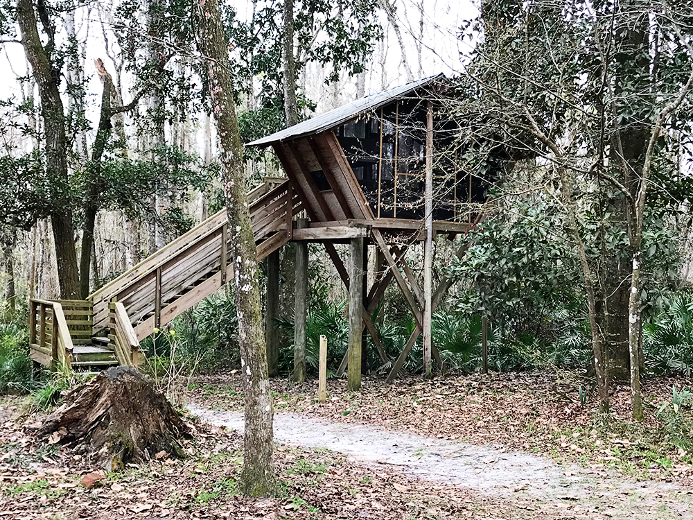 Camp Chowenwaw Park: Treehouse Camping in Jacksonville, Florida