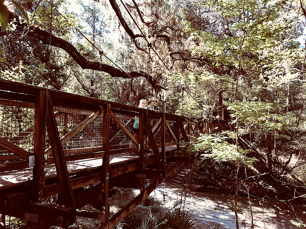 Ravine Gardens State Park in Florida with Kids