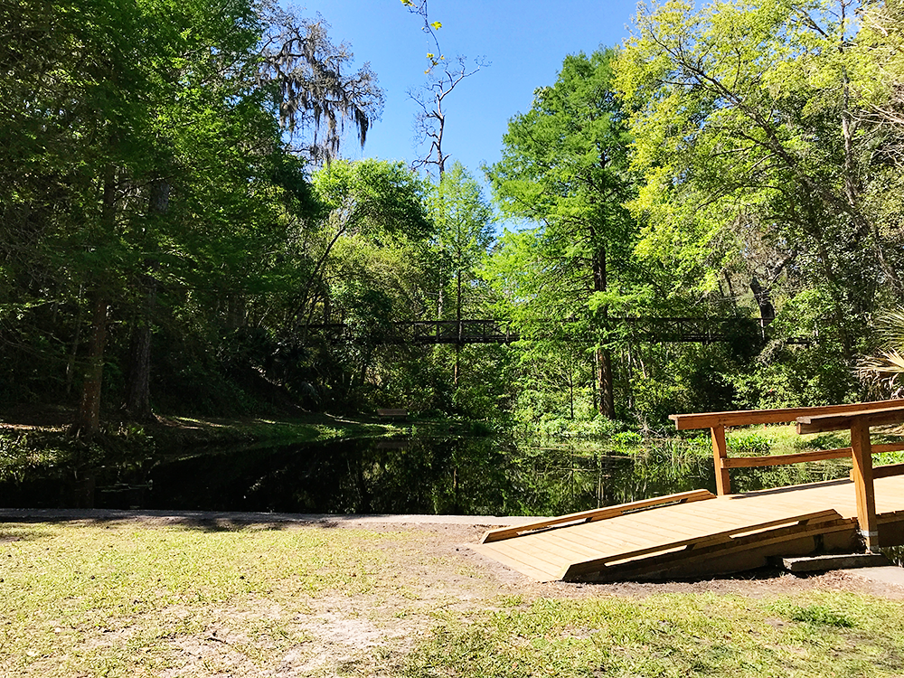 Ravine Gardens State Park in Florida with Kids