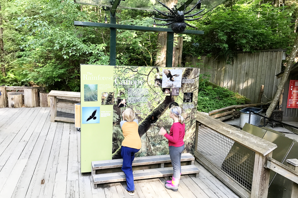 Visiting Vancouver with Kids - the Capilano Suspension Bridge Park