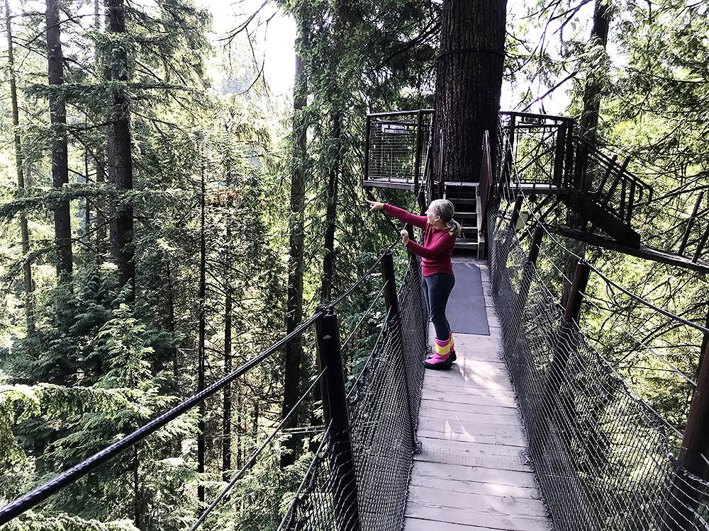 Visiting Vancouver with Kids - the Capilano Suspension Bridge Park