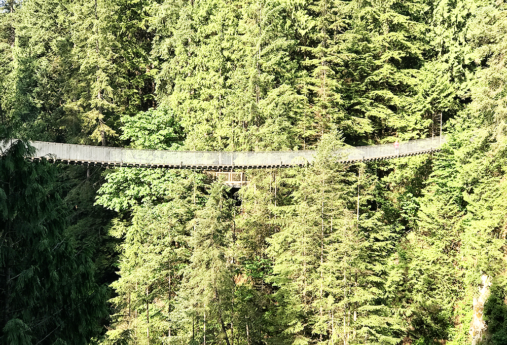 Visiting Vancouver with Kids - the Capilano Suspension Bridge Park