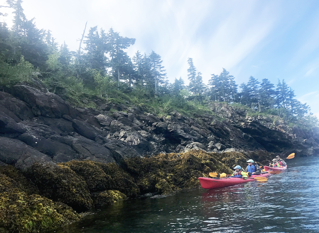 Kayaking with kids in Seward Alaska with Kayaking Adventures Worldwide