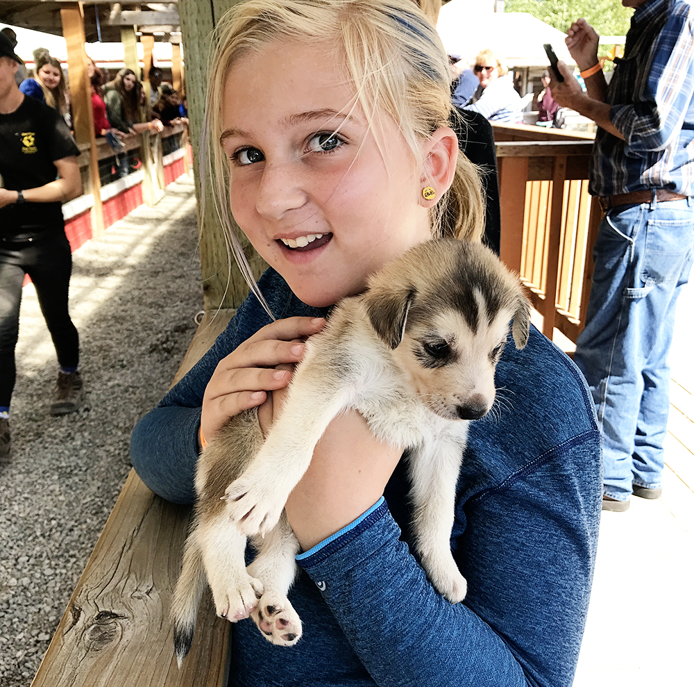 Cuddling Iditarod Puppies in Skagway, Alaska