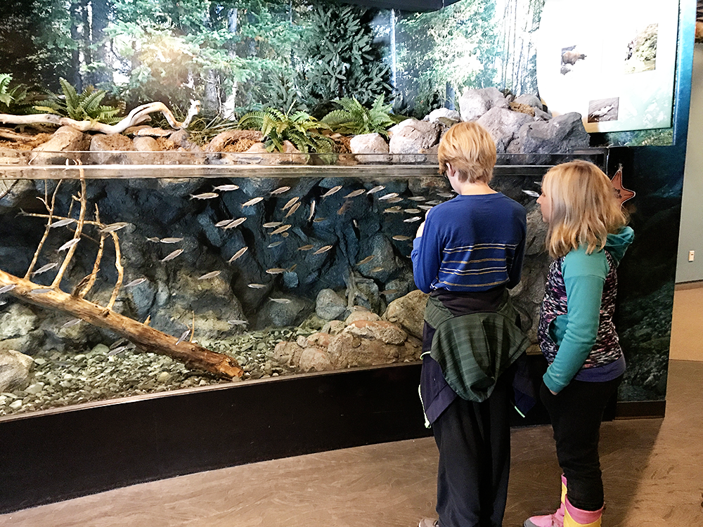 Alaska SeaLife Center in Seward, Alaska - Perfect place for kids!