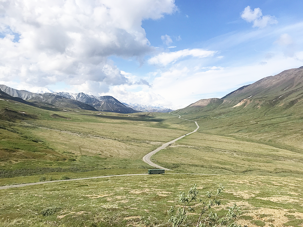 Denali Backcountry Adventure Tour with Kids