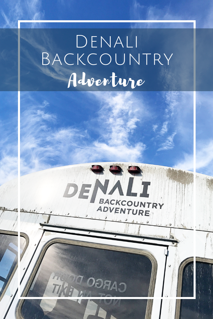 Denali Backcountry Adventure Tour with Kids