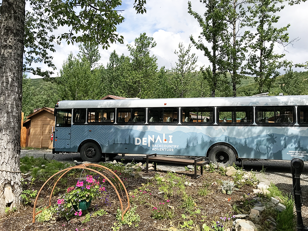 Denali National Park in Alaska with Kids