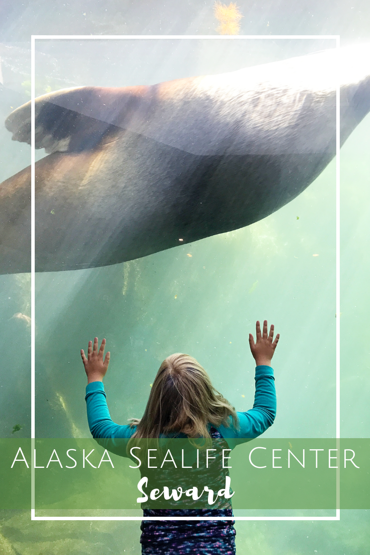 Alaska SeaLife Center in Seward, Alaska - Perfect place for kids!