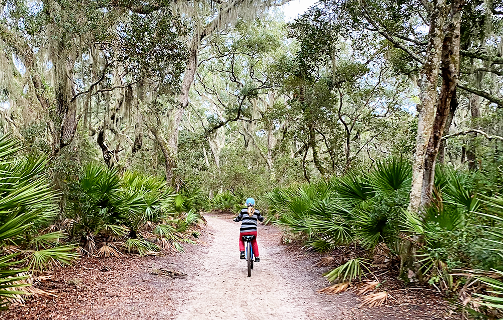 Visiting Cumberland Island National Seashore in South Georgia with Kids