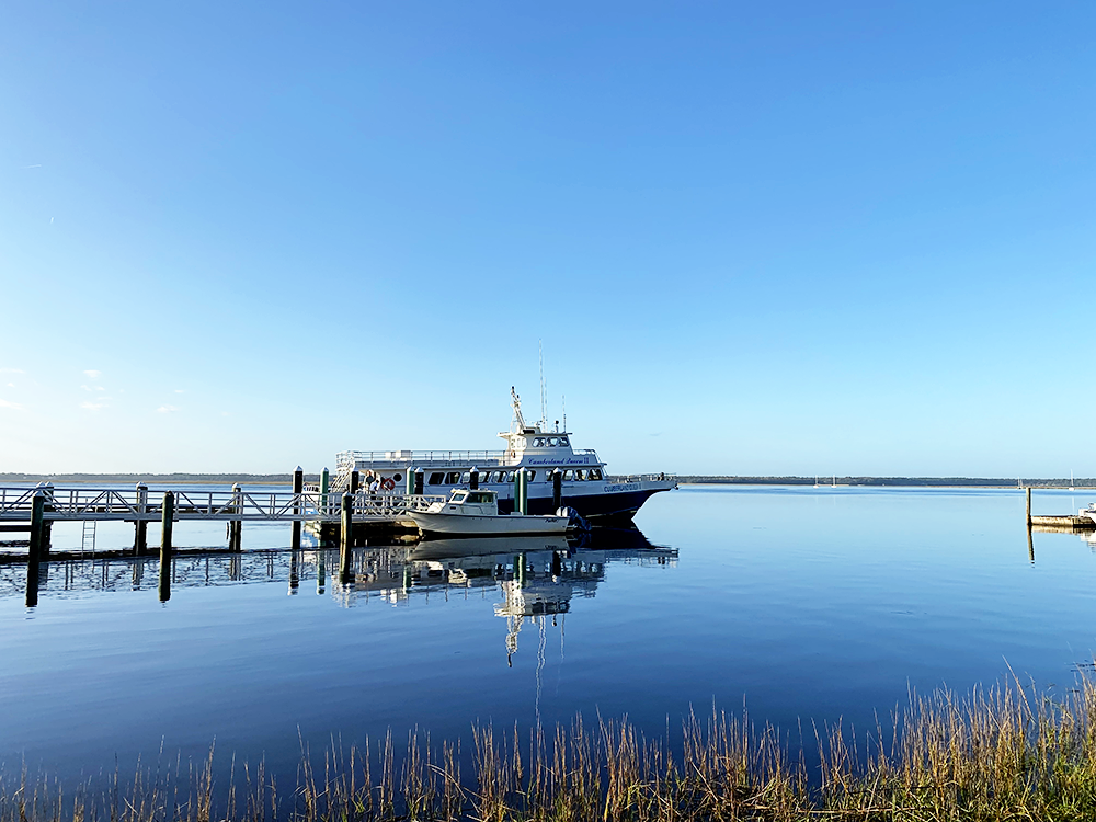 Visiting Cumberland Island National Seashore in South Georgia with Kids