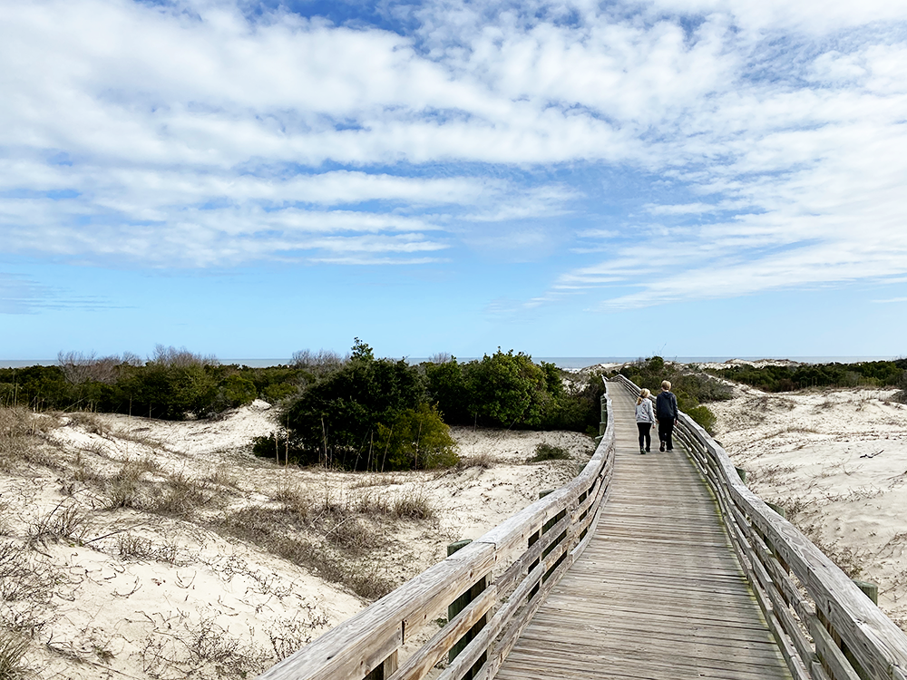 Visiting Cumberland Island National Seashore in South Georgia with Kids