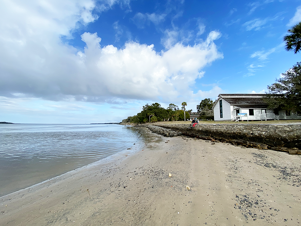 Visiting Cumberland Island National Seashore in South Georgia with Kids