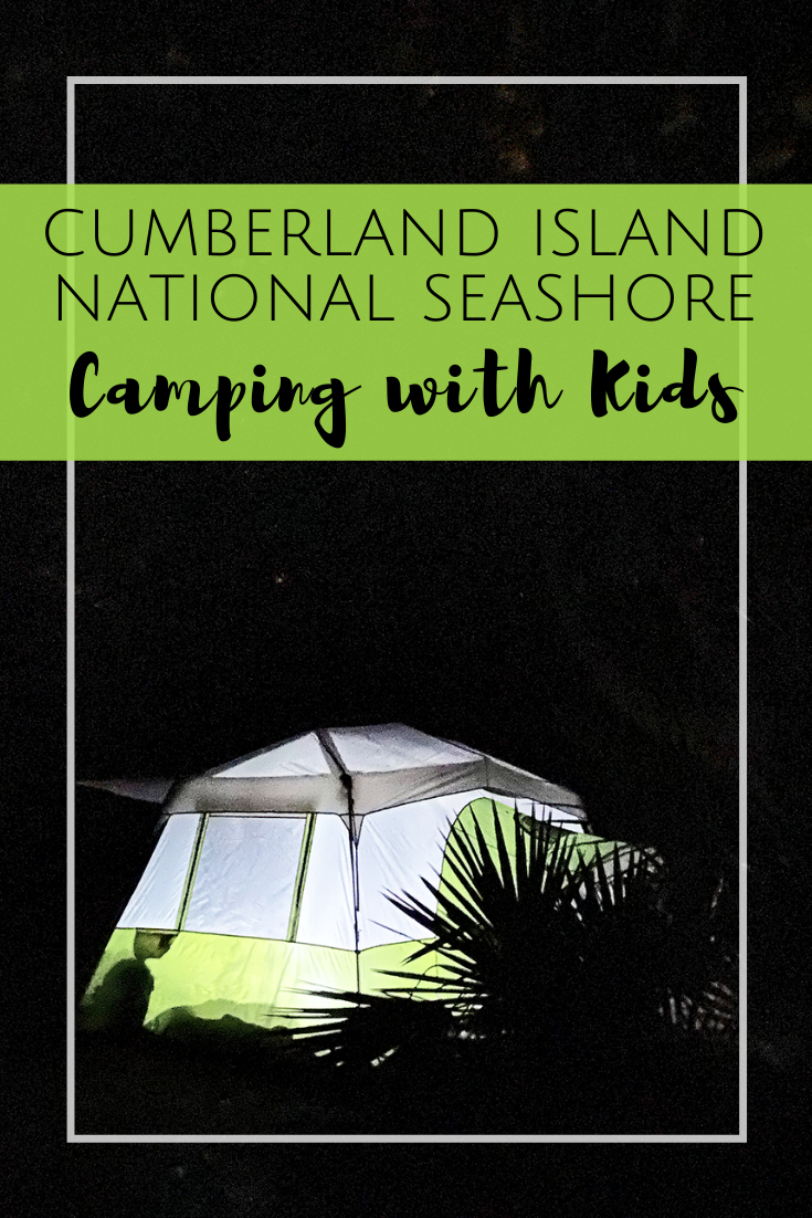 Camping at Cumberland Island National Seashore in Georgia with Kids