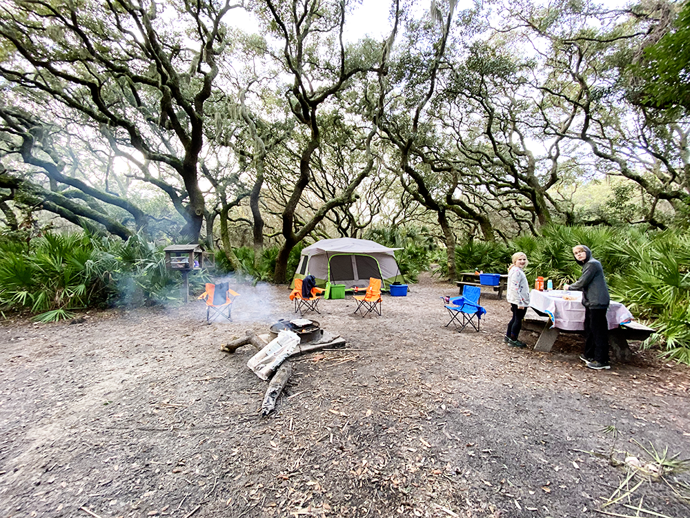 Camping at Cumberland Island National Seashore in Georgia with Kids