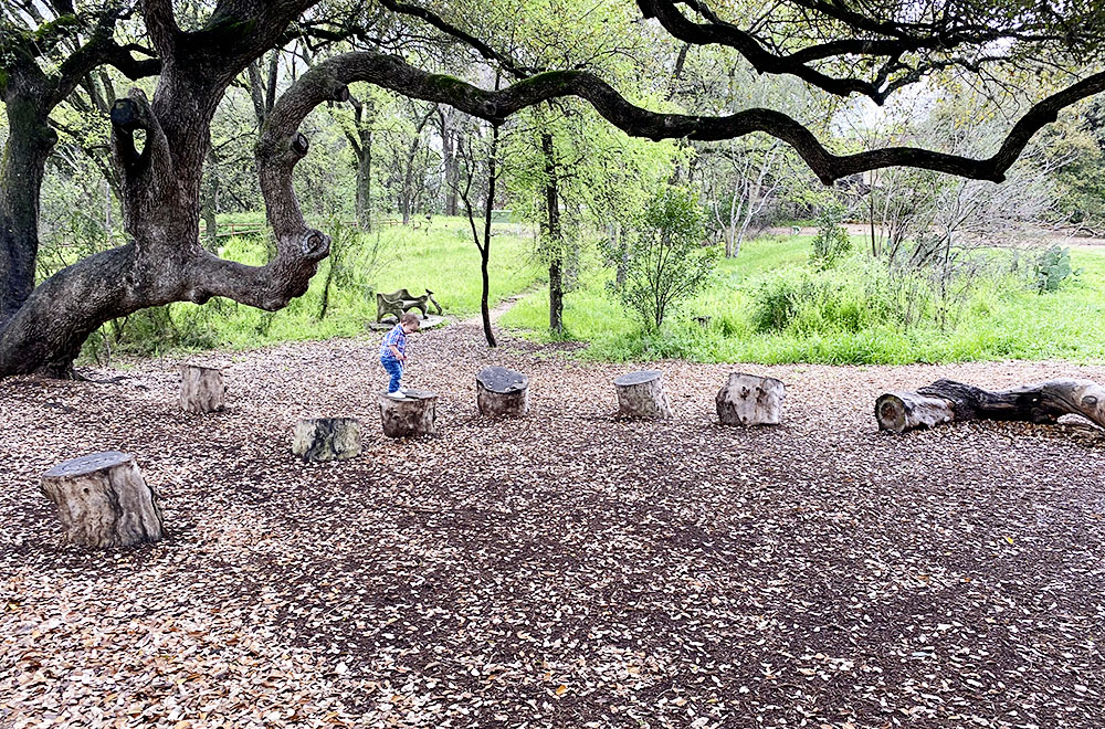 Austin Nature & Science Center at Zilker Park Preserve in Austin, Texas