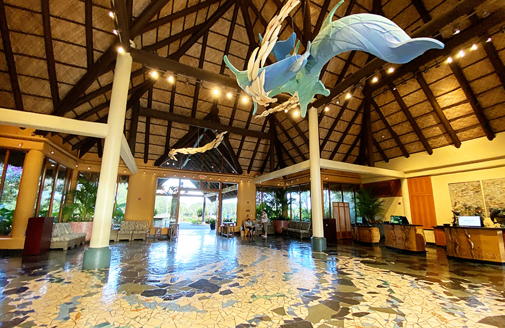 Swimming with dolphins at Discovery Cove in Orlando, Florida