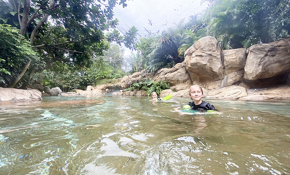 Swimming with dolphins at Discovery Cove in Orlando, Florida