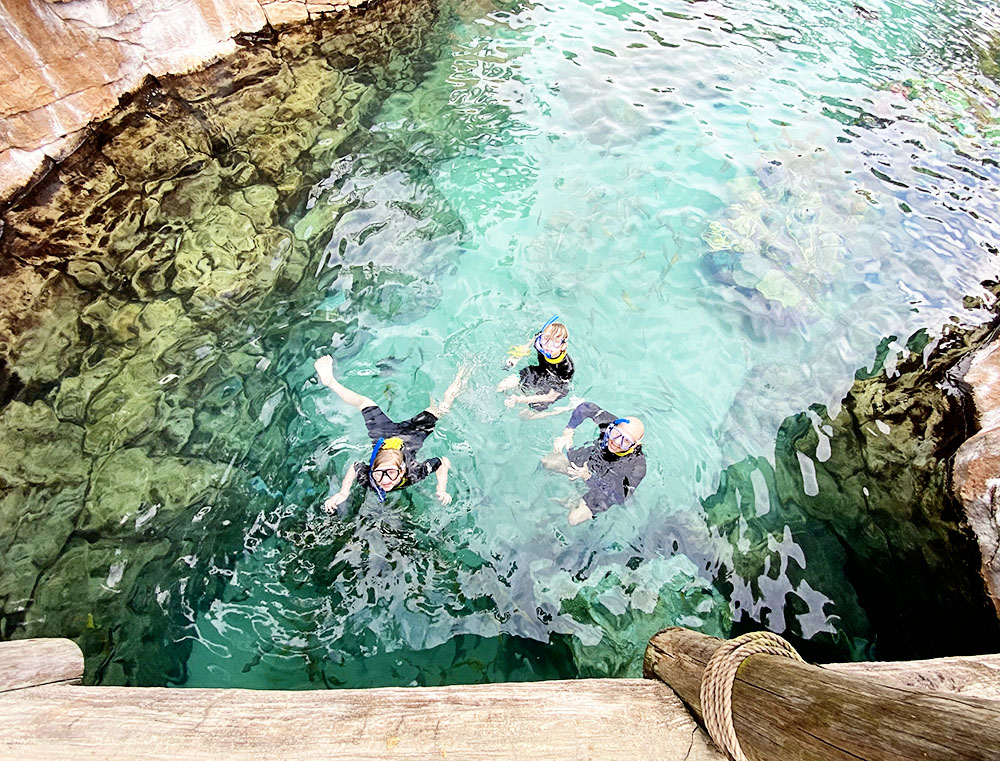 Swimming with dolphins at Discovery Cove in Orlando, Florida