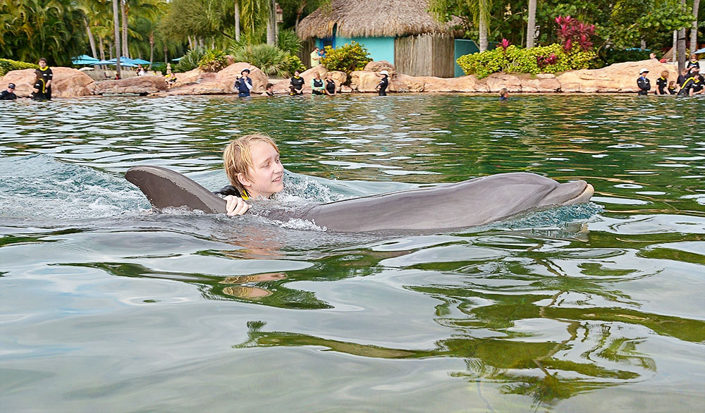 Swimming with dolphins at Discovery Cove in Orlando, Florida