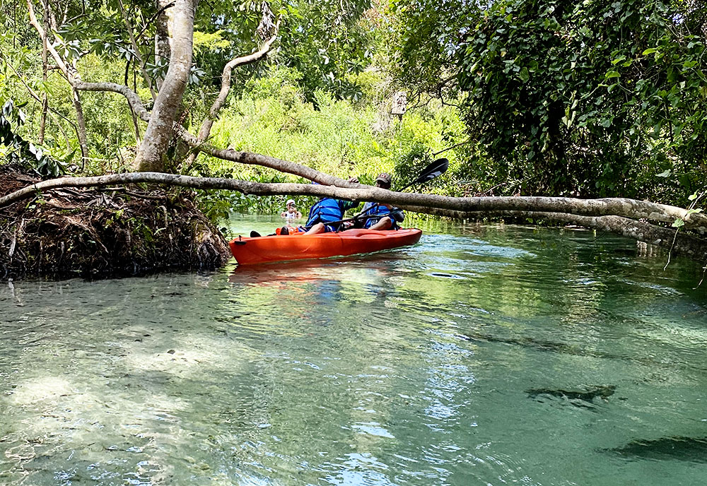 Kayaking Rock Springs Kelly Park, the beautiful Emerald Cut of Florida.