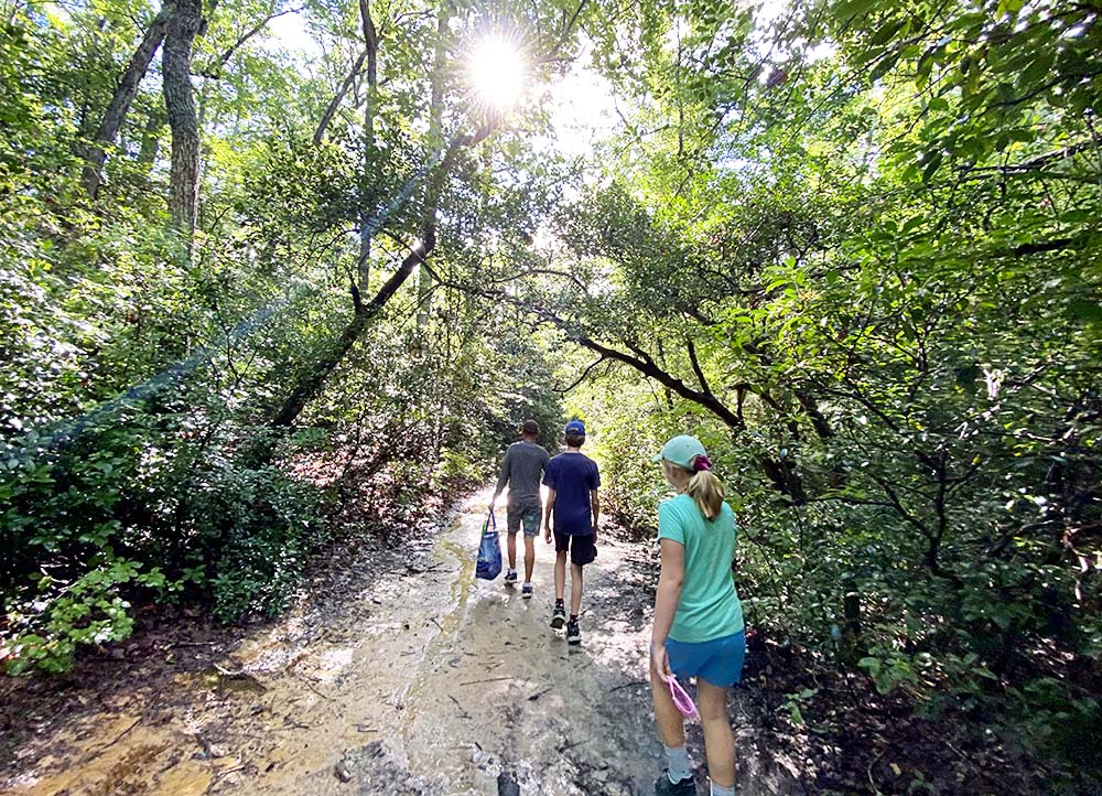 Hiking at Calvert Cliffs