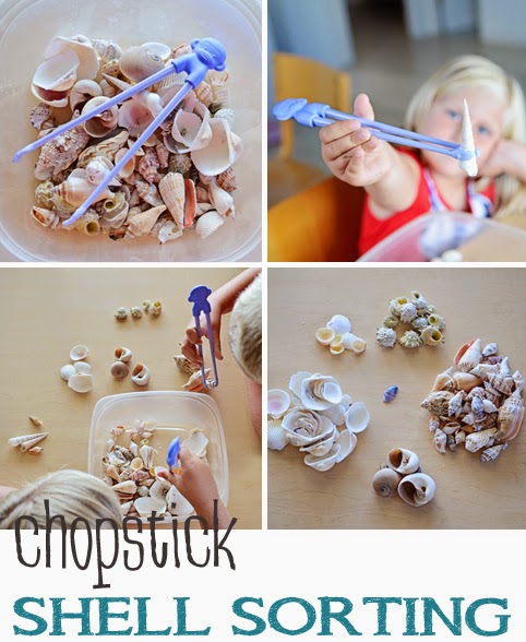 Chopstick Shell Sorting {Beach Crafts for Kids}