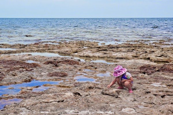 Little Bahia Key {Bahia Honda State Park}