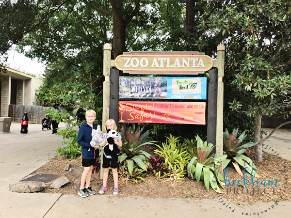 5 Things We Love About Zoo Atlanta