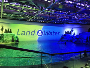 Land and Sea Show at the Shedd Aquarium Chicago with Kids