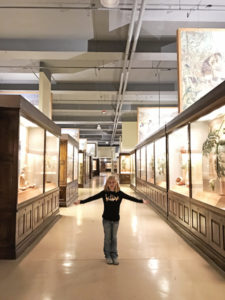 What is the best time to visit The Field Museum in Chicago