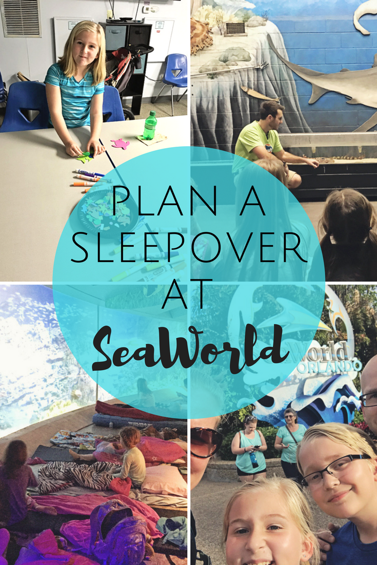 Plan a sleepover at SeaWorld for your scout troop.